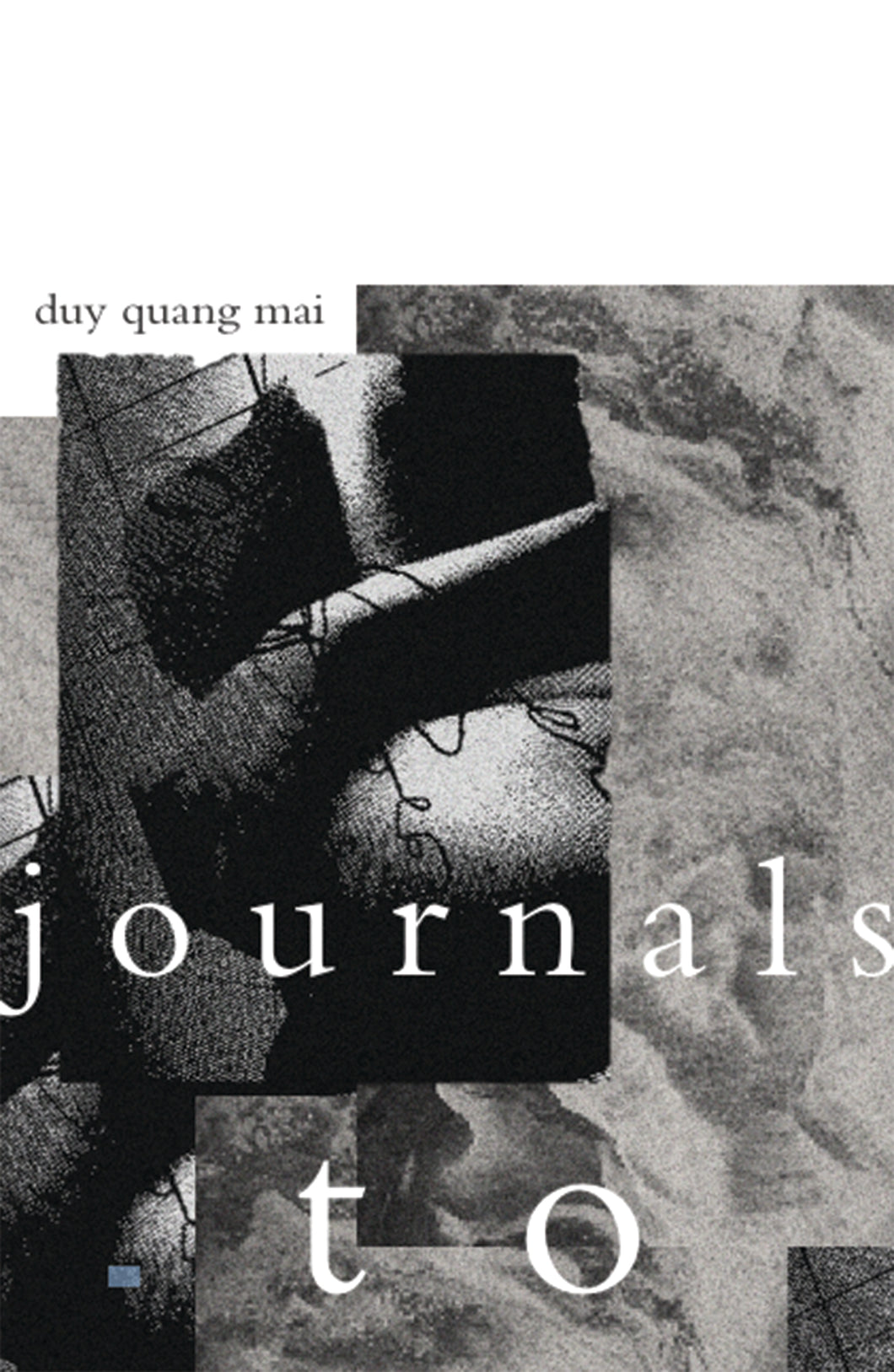Journals to by Duy Quang Mai
